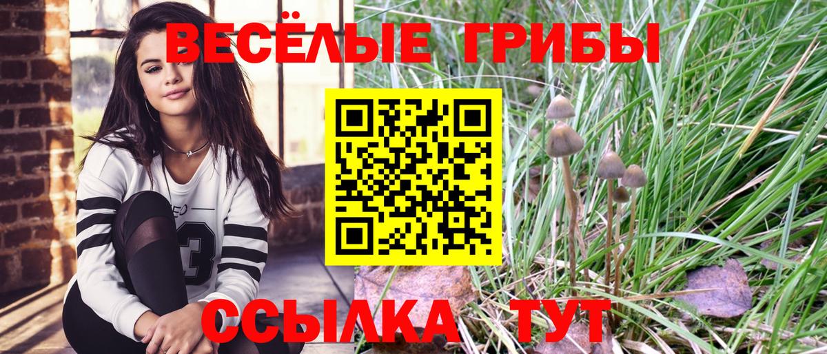 наркошоп  Галлюциногенные грибы Cubensis  Вход с VPN  Рубцовск 